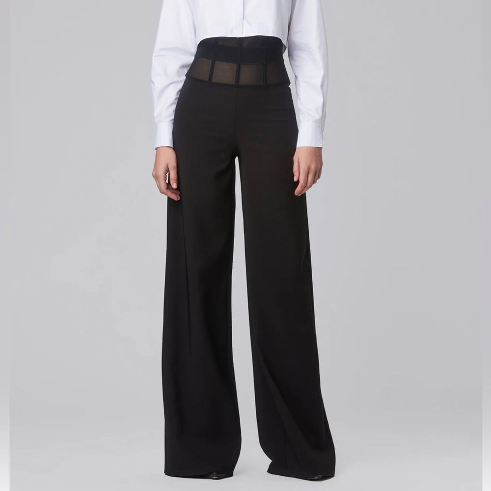Murmur Sheer Waist Corset Pants Mesh FRAME TROUSERS palazzo wide leg boning mur - Picture 5 of 16